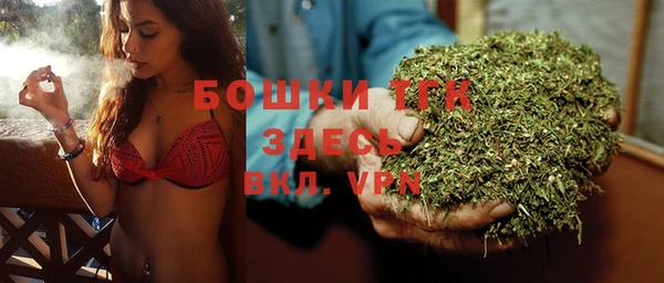 сатива Алзамай