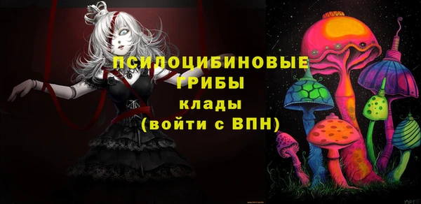 сатива Алзамай