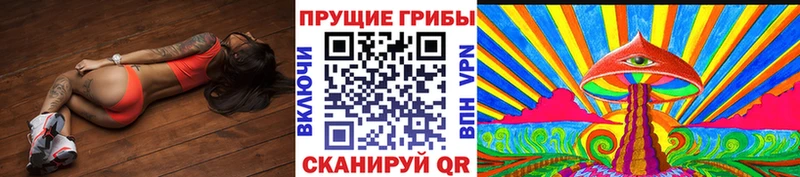 Галлюциногенные грибы Psilocybe  мориарти какой сайт  Красногорск  закладки 